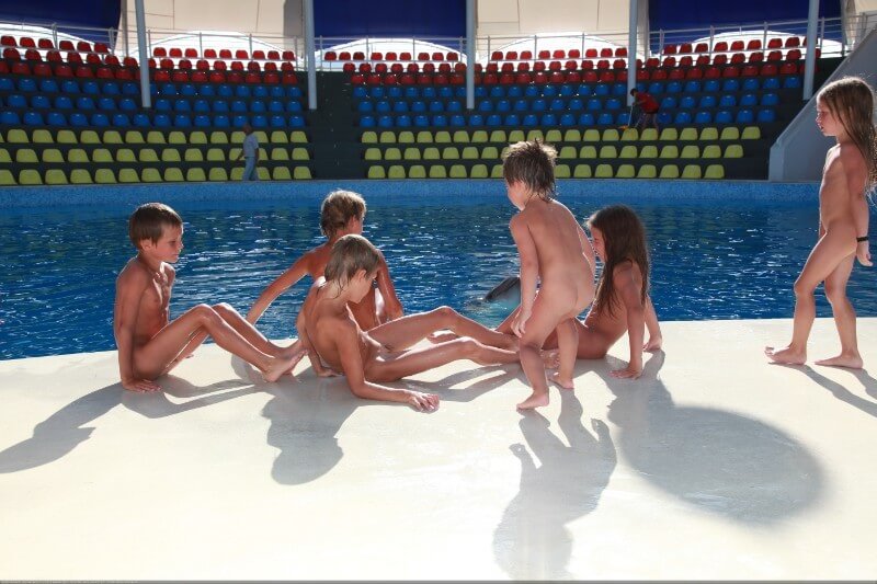 Swimming dolphins photo gallery - The community of naturist movement supporters and their values