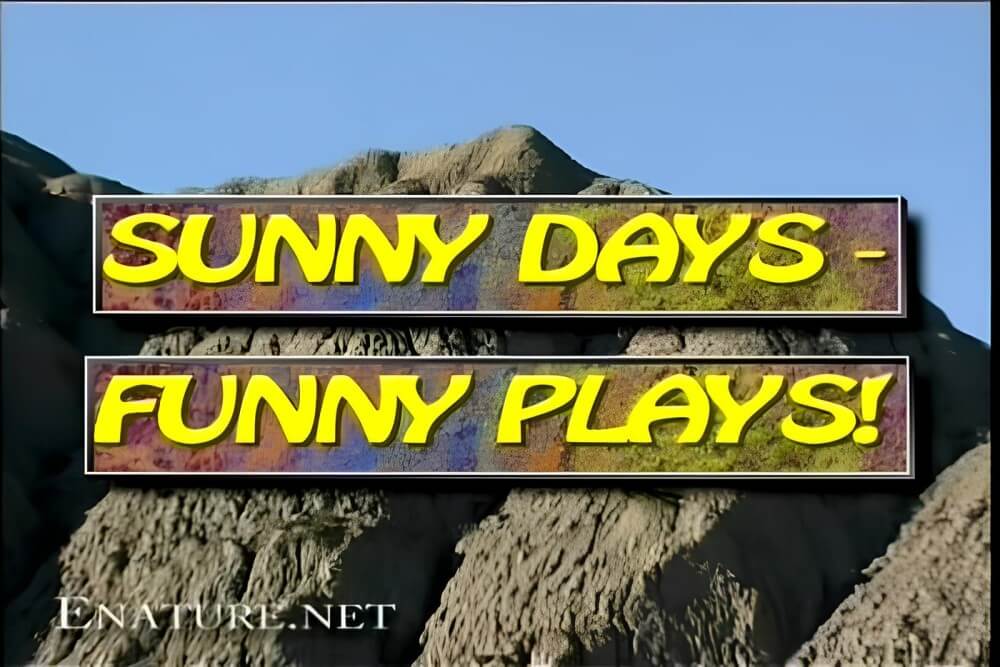 Enature - Sunny Days – Funny Plays - Types of recreation in nudist and naturist resorts and parks