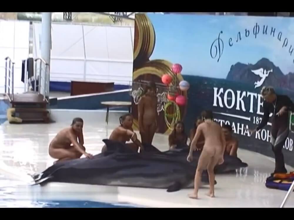 Relaxing at the dolphinarium - We are naked in the bosom of nature